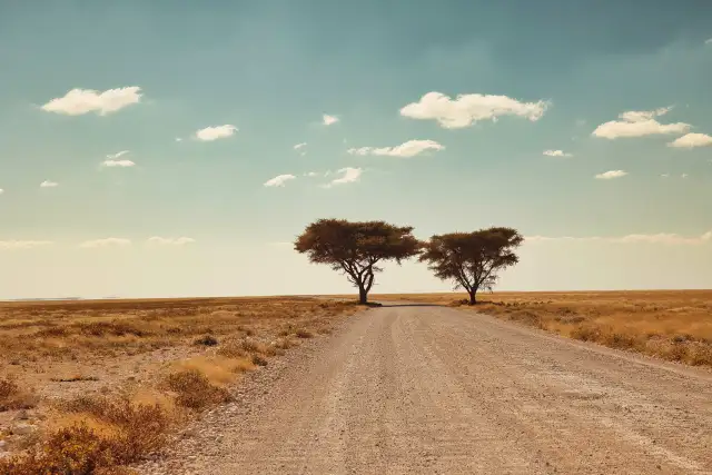 On the way through Etosha                                                                            — Landscapes                                                                                           | Robert Ferda Photography